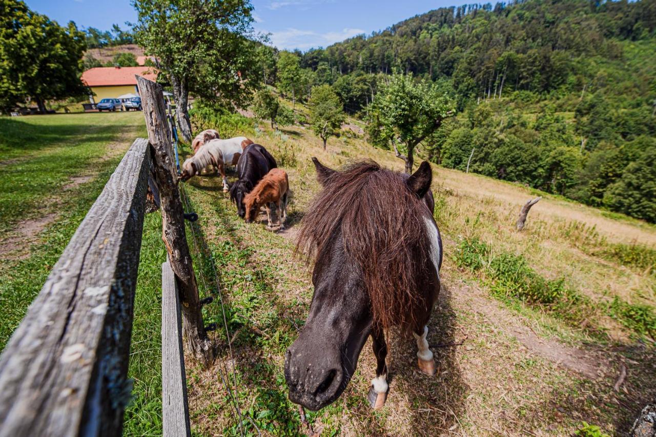 포드체트르테크 Eko Pony Ranch Ogrizek 아파트 외부 사진